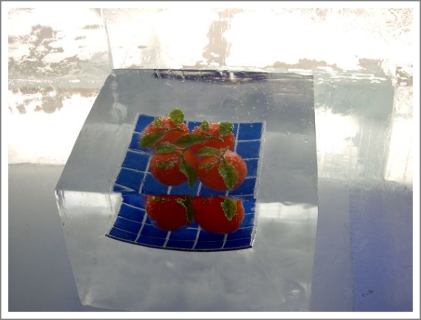 blaue Schale mit vier Tomaten im Eisblock