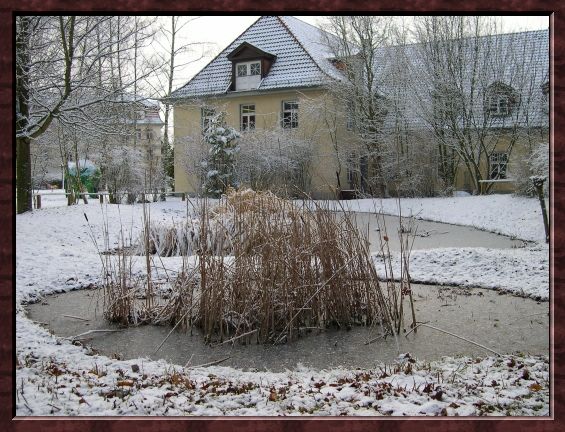 Zugefrorener Teich mit Schilf in der Mitte