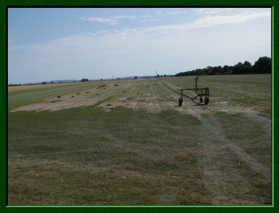Ein Feld mit Rasen; lange Bahnen wurden schon entfernt, einige kleine Rasenrollen liegen an der Seite